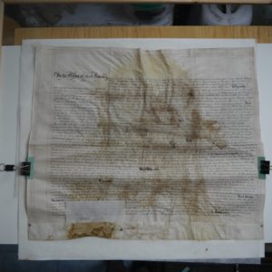 Reshaping of the parchment